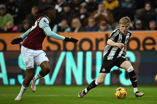 品牌不仅可 品牌不仅可